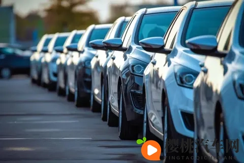 疯了?年轻人花3万抢倒闭车企烂尾车,有人修到哭,有人捡到宝?-1