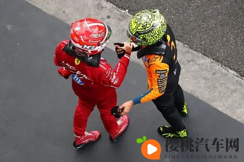 F1巴西大奖赛:诺里斯夺杆,维斯塔潘仅获第16位-3