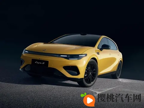 绑在调教椅上玩弄调教H:调教椅束缚下的趣味体验-2