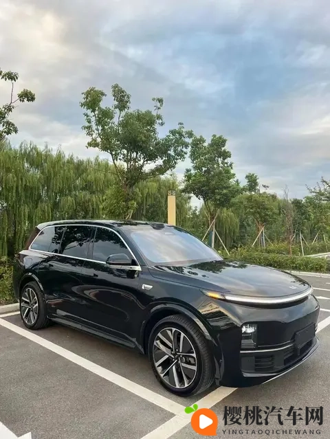 理想降价狂欢下,我摸了摸开了两个月的L8,有些真相不吐不快-2