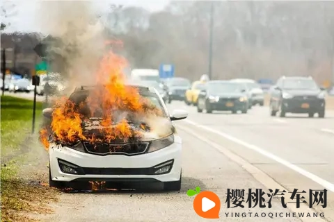 长见识了!新能源汽车在服务区被雷电击中,车顶铁皮烧融,有熔点-3