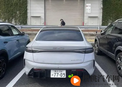 老女人擦她毛老荫户：汽车美容新潮流：深度清洁新秘籍大揭秘-2