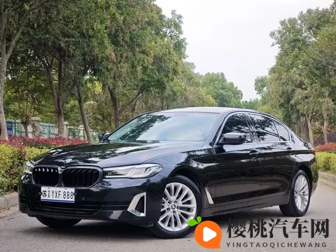 20万拿下宝马5系，7万公里，代步家用值不值？-3