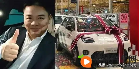 刘强东杀疯了!10万新车屠榜而来-2