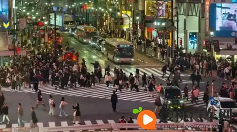 东京车展观察:熟悉又陌生的日系车与单刀赴会的国产力量-2