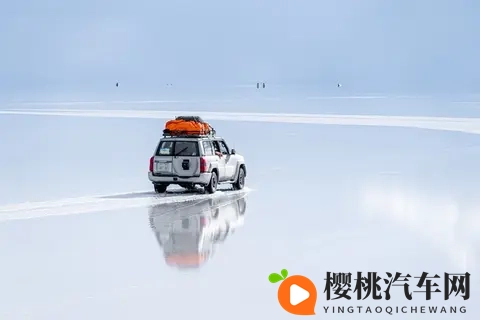 性少妇mdms性丰满h...：风韵少妇身材曼妙，魅力四溢-2