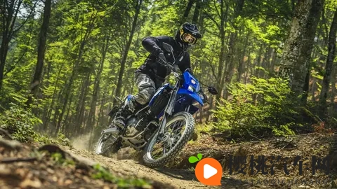 一款小型雅马哈耐力赛摩托车 WR 125 R,具有可变气门正时功能-2