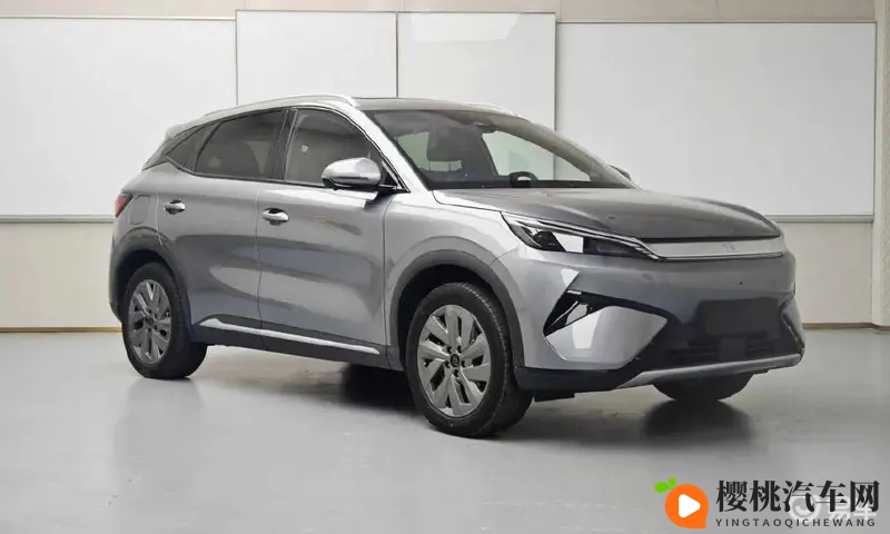 一个人看的ww视频：独自欣赏的精彩网络视频-1