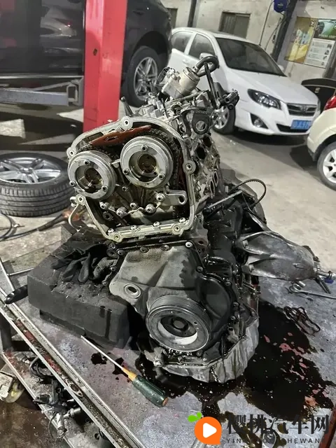 油车才是主宰,电车20年后会消失?车主的真实想法很现实-2