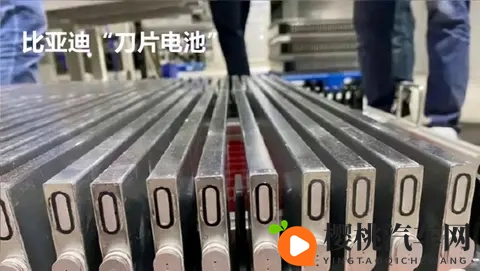 为什么比亚迪汉L用的是磷酸铁锂电池,而不是三元锂?-3