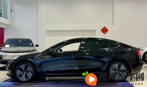 几个菜钱就能圆“特斯拉梦”？21年Model3抄底价！-3