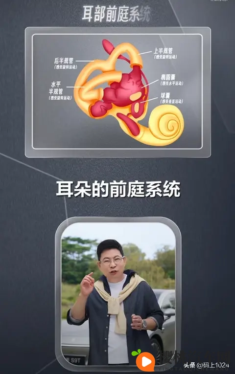 余承东揭秘晕车根源:不是体质弱,而是大脑的误判保护-3