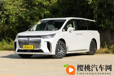 连开3天，深度试驾26款岚图梦想家，方方面面都值得一看-2