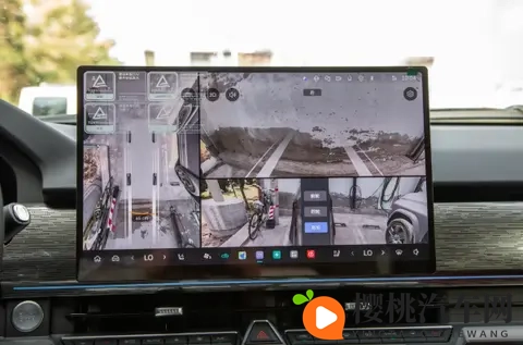 张柏芝殖器全照：张柏芝私密照片遭泄露，引发公众关注-3