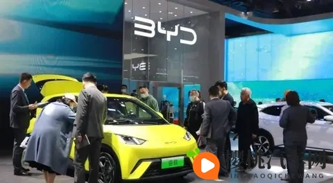 别再观望了!新能源车均价跌破16万,今年不买,明年政策一变!-2