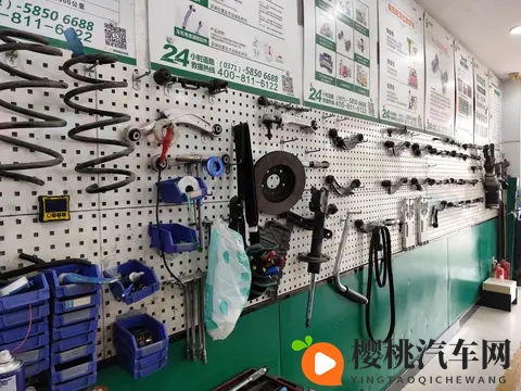 亚洲人毛茸茸：汽车市场新潮流：毛茸茸设计成亮点-3