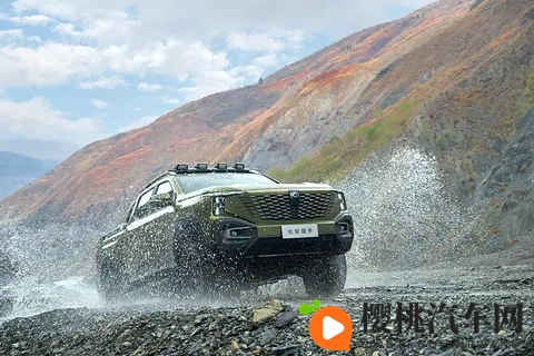 皮卡市场销量企稳 高端化与新能源成看点-3