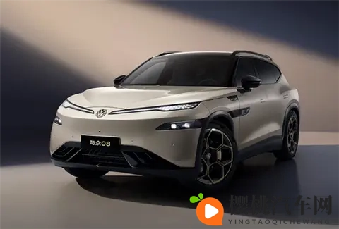 5米车长+800V快充，安徽大众“与众08”申报信息曝光-1