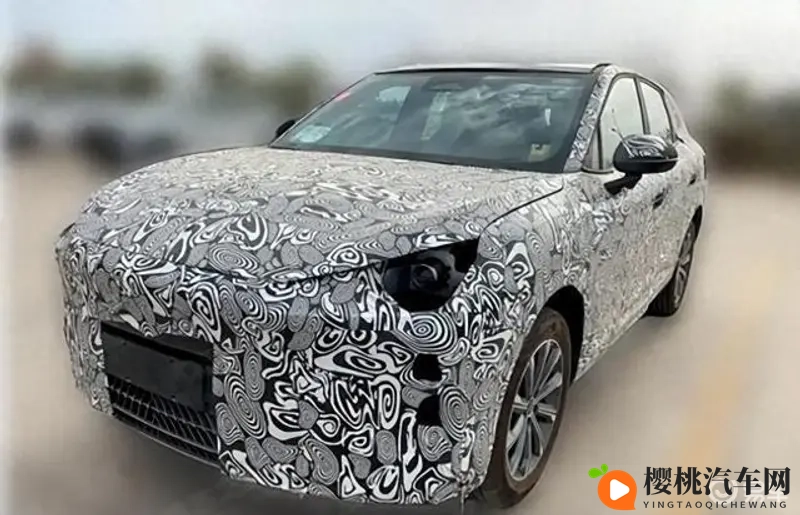 男女叉叉软件：便捷出行新利器，车主生活更轻松-2