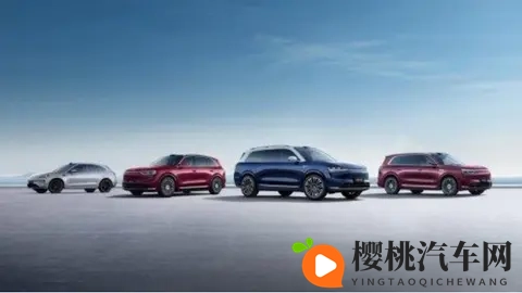 赛力斯港股上市首日破发,问界已经跌落神坛?-3