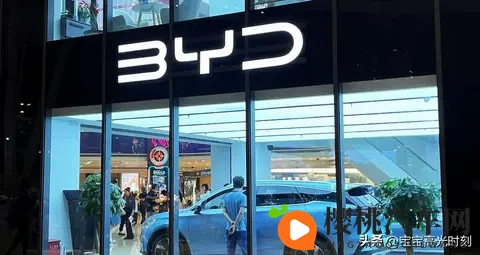 比亚迪销量跌宕背后:车企拼杀里藏着中国智造的秘密-3