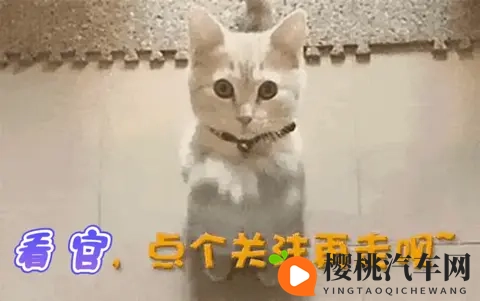 jalapwaswaswaskino的起源和历史:探秘创新汽车传奇,揭秘独特设计理念-2