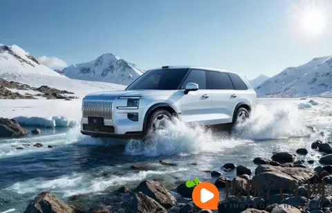 全网加价求购极氪9X，“杭州湾库里南”成市场硬通货-1