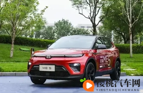 丝瓜草莓:田园佳肴,丝瓜与草莓的完美邂逅-2