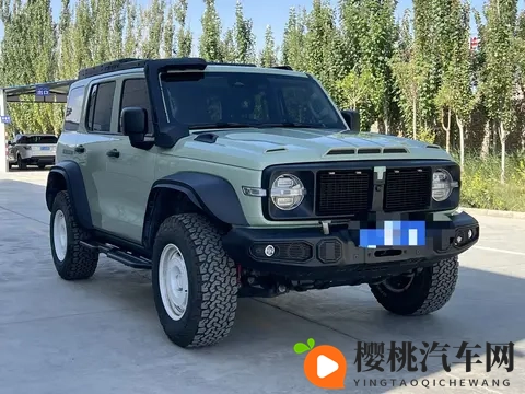 一手准新坦克300铁骑02:圆你硬派越野梦-2