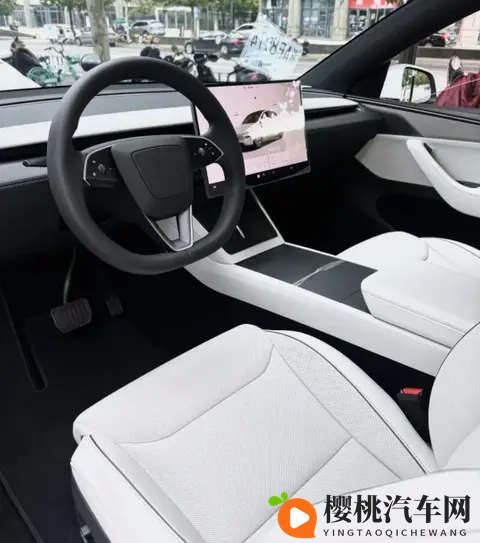 Model Y L 浅灰内饰太好看了！选装太值了！-2