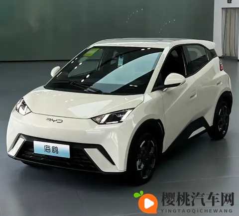 海鸥真实口碑:优点夸到停,缺点吐槽声从没断-2