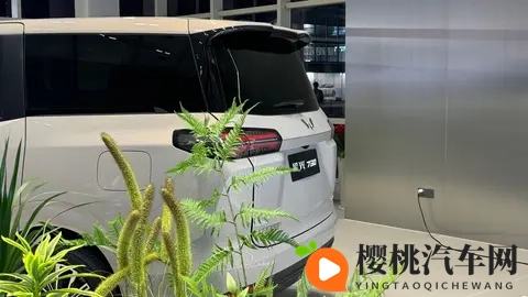 五菱星光730正式上市，限时71万起，哪款配置适合入手？-3