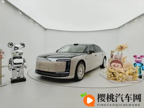 厦门尊享会：尊界s800护底板升级-2