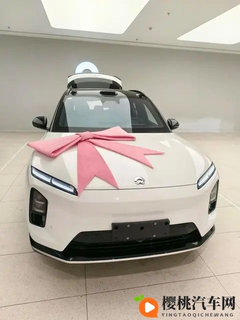 蔚来订单破万，乐道压价抢人，萤火虫悄悄布局-1