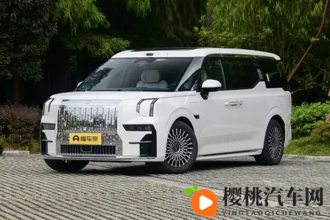 双十一给家人选礼,咱得挑个实在又暖心的!极氪009这波福利真行-2