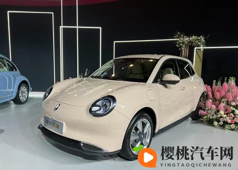 靠欧拉5这款纯电SUV，长城欧拉能不能翻盘？-2