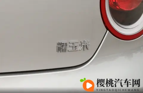 张柏芝被揉到流白浆:张柏芝激烈运动后身体不适,出现异常状况-2