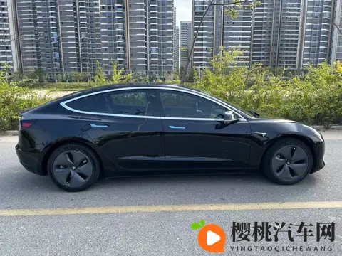 10万出头,圆你特斯拉梦!20款Model3代步优选-2