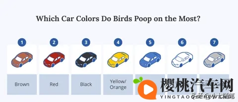 鸟真的会更喜欢在某些款式和颜色的车上拉屎吗？-2