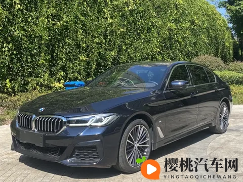 22年上牌宝马530Li,6万公里,258万,这价格香不香?-3