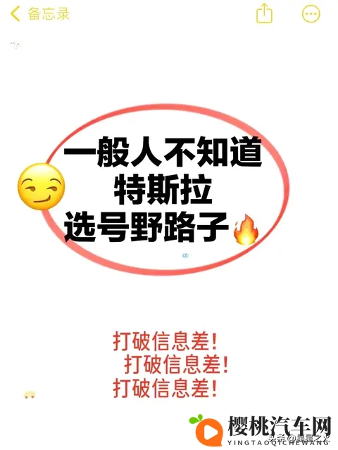 很好用‼️特斯拉选号野路子💯-1