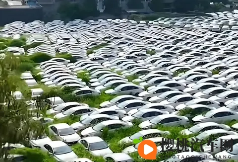 倒闭车企的烂尾车成为年轻人的香饽饽!14 万买 23 万配置,赌赢了?-1