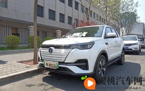 长安汽车：从历史变迁到新能源突破，独特发展路径待探讨？-3