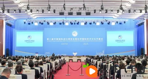 小黄鸭污：汽车涂装新潮流，个性色彩引领风尚-2