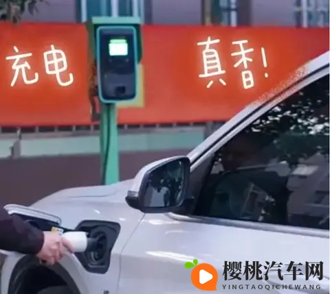 油车车主说不公平，英国动手，要对电车开征“里程税”了？-2