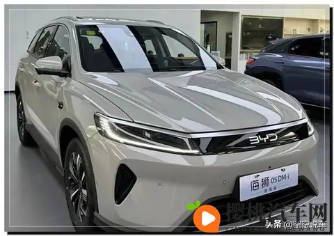 728万入手1400km续航,比亚迪海狮05直降23万,4S店为何被围爆-1