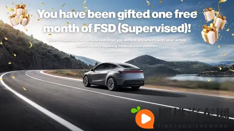 圣诞送礼新选择:特斯拉将在美推出FSD订阅赠送计划-2