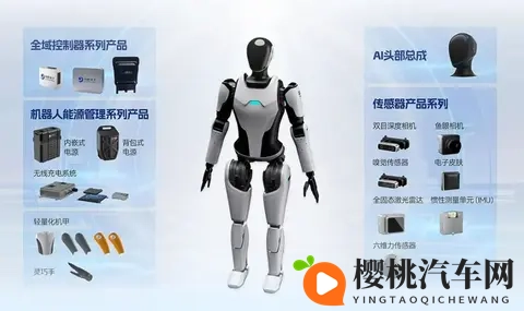 汽车Tier1的下一个十年,赌在机器人?-1