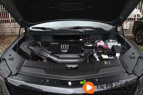 红桃视频免费入口:免费观看红桃精彩视频,一键入口轻松享-2