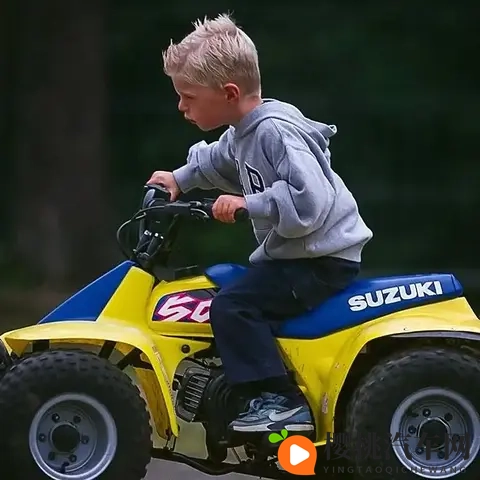 F1人物传:围场里最疯狂的人——马克斯·维斯塔潘-1